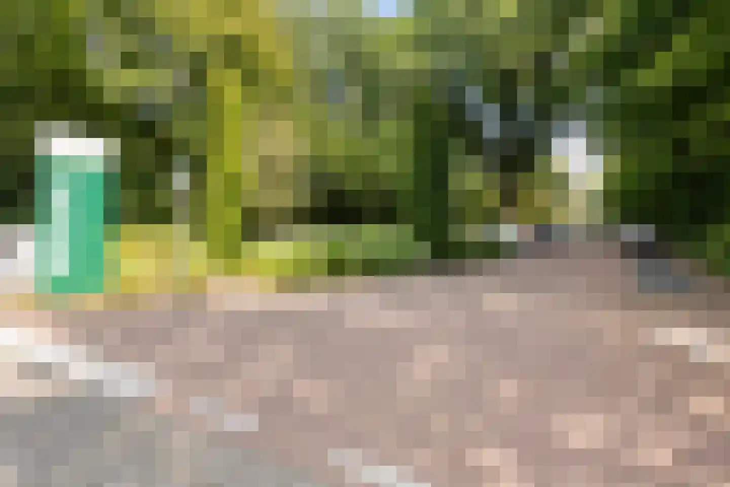 Dennenlaan 209 Ede thumbnail 28