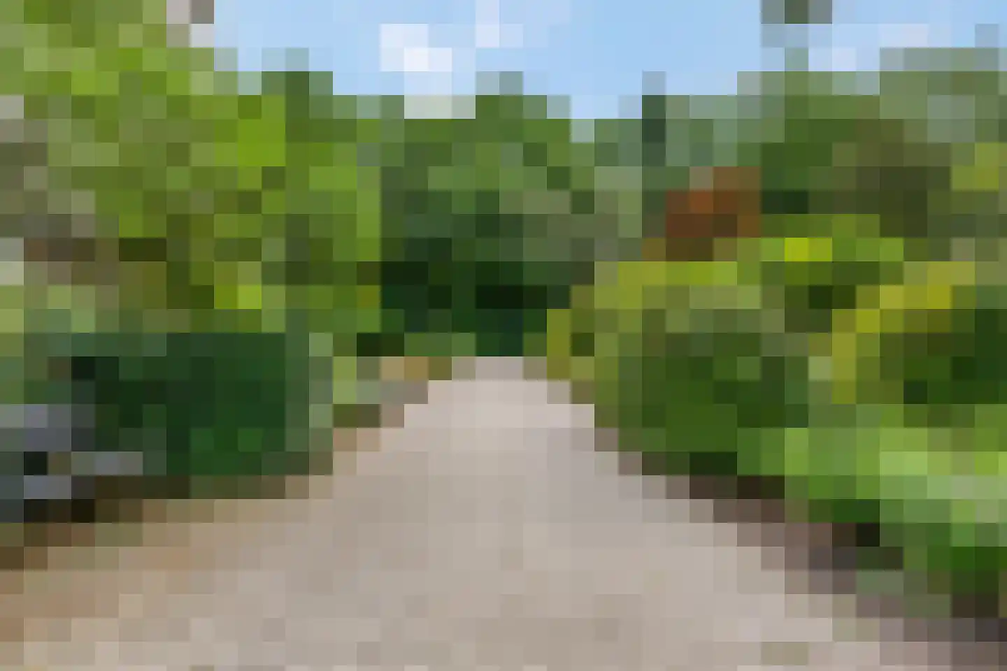 Dennenlaan 209 Ede thumbnail 33