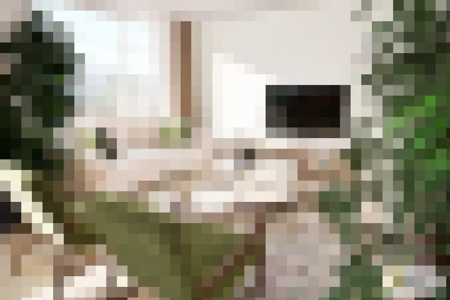 Dennenlaan 209 Ede thumbnail 4