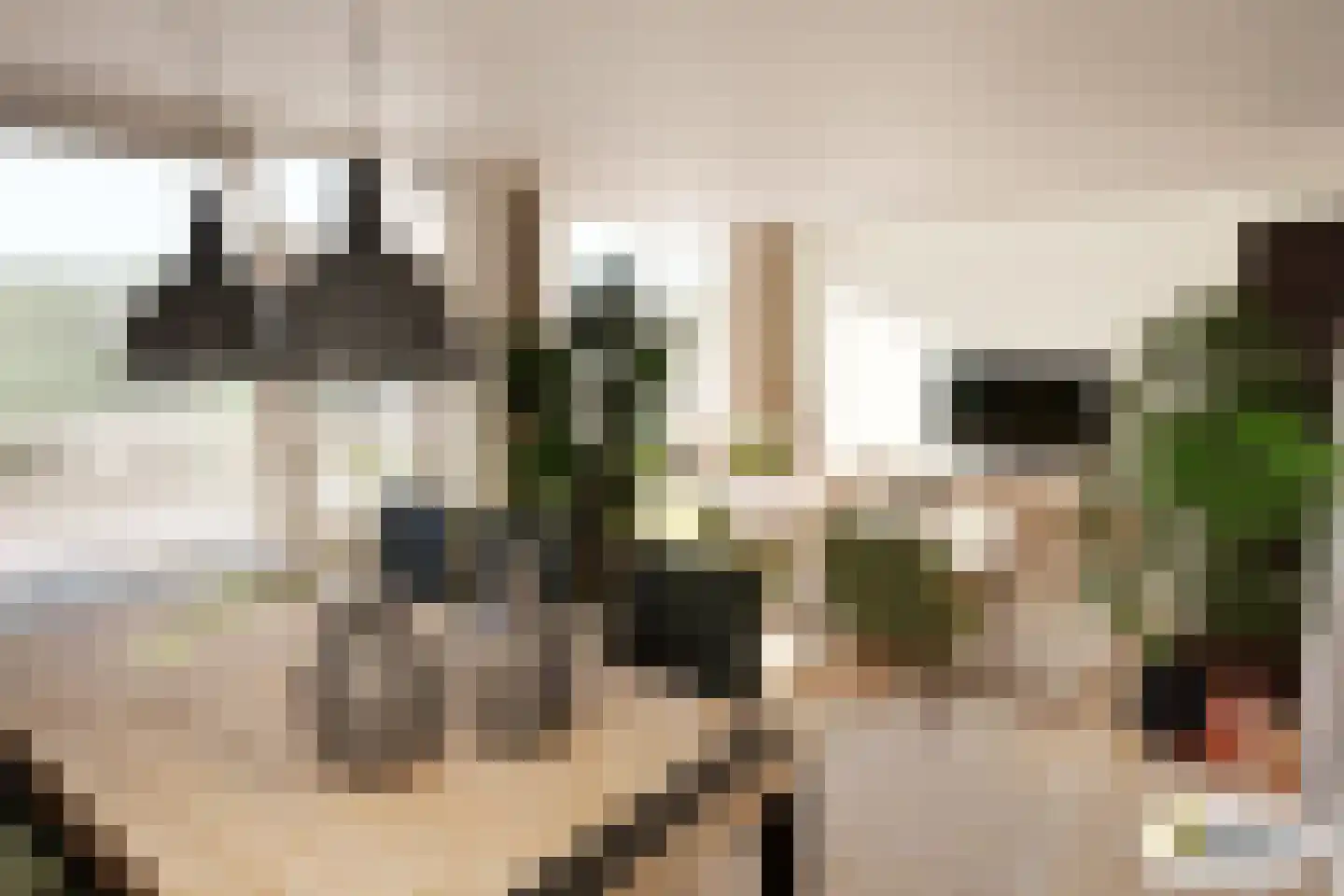 Dennenlaan 209 Ede thumbnail 5