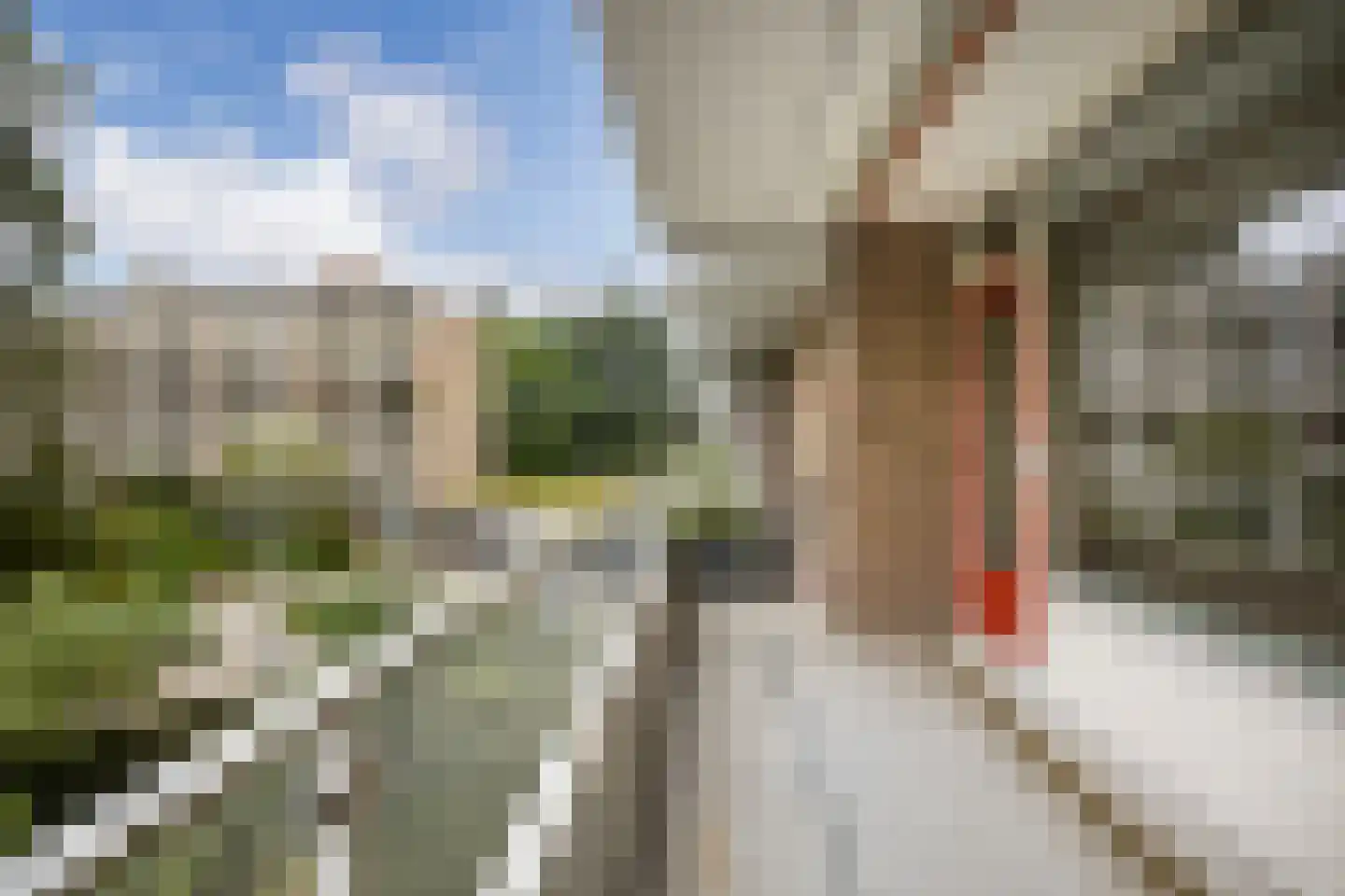 Dennenlaan 216 Ede thumbnail 10