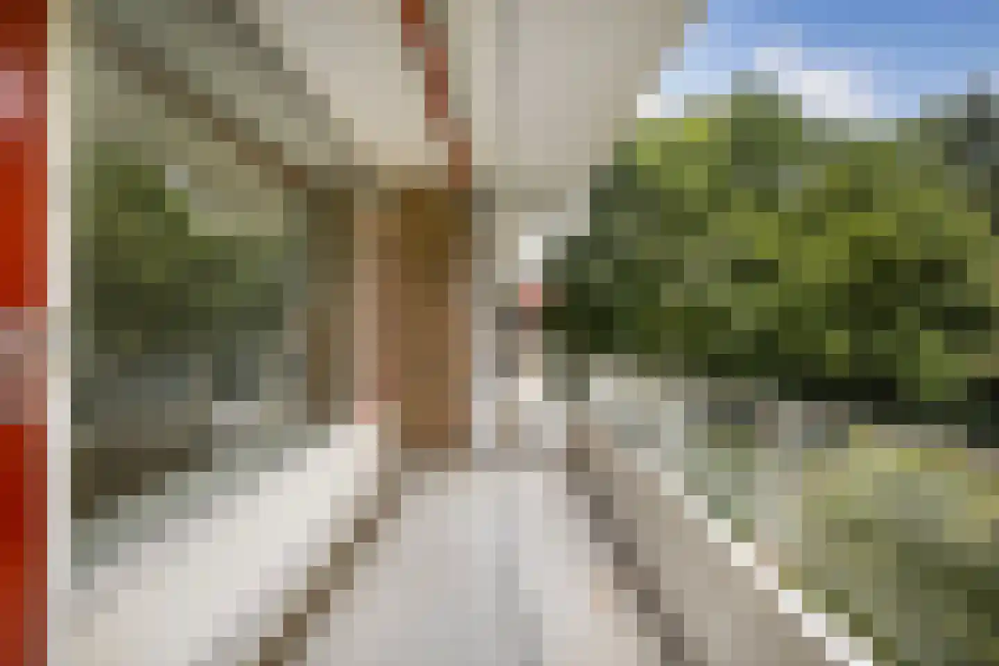 Dennenlaan 216 Ede thumbnail 11