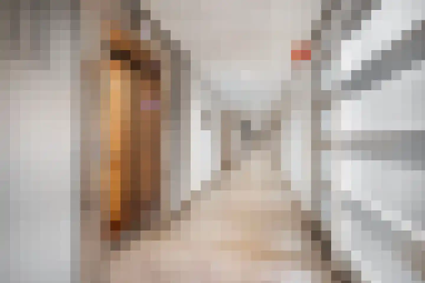 Dennenlaan 216 Ede thumbnail 31