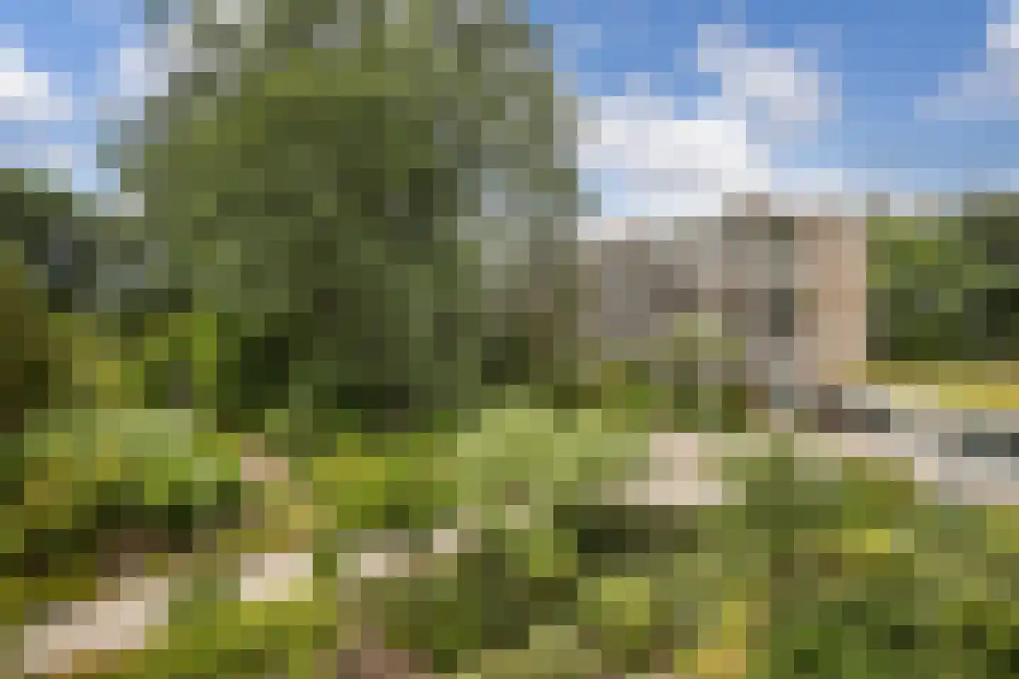 Dennenlaan 216 Ede thumbnail 34