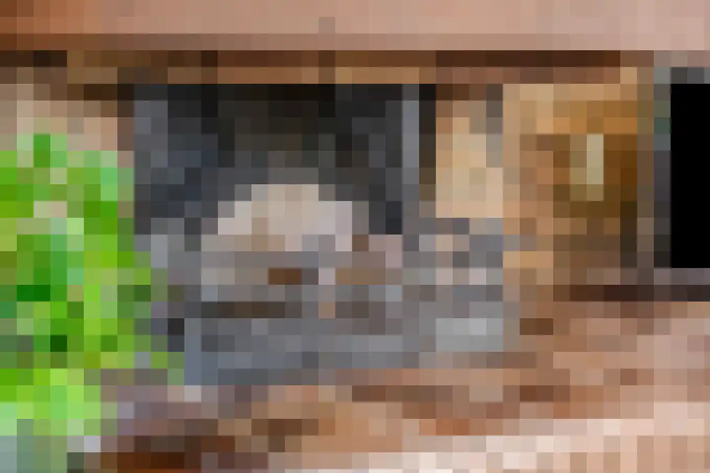 Dennenlaan 22 Harderwijk thumbnail 11