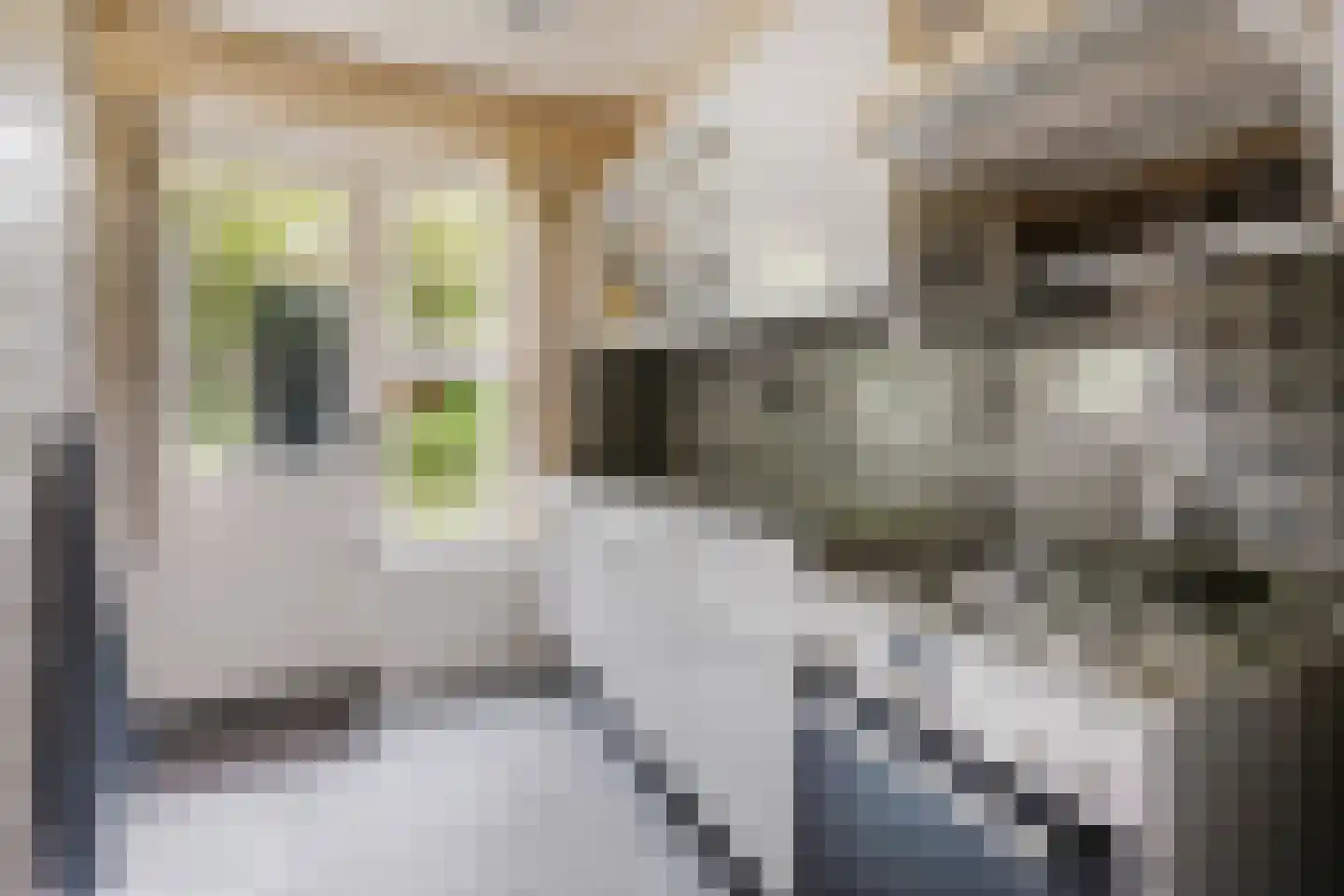 Dennenlaan 22 Harderwijk thumbnail 13