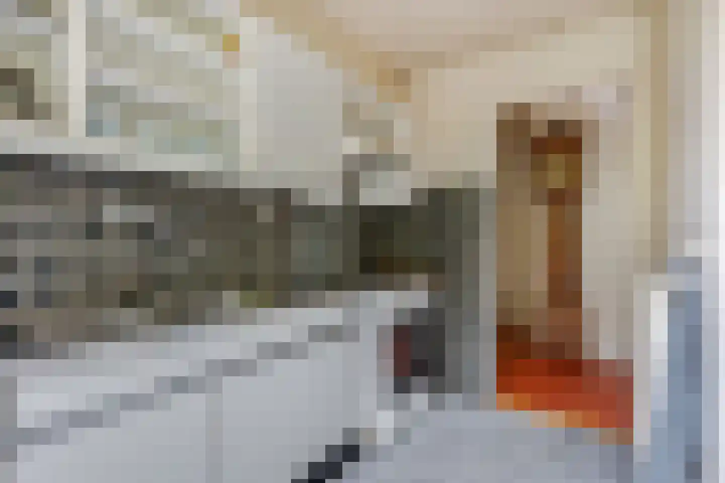 Dennenlaan 22 Harderwijk thumbnail 15