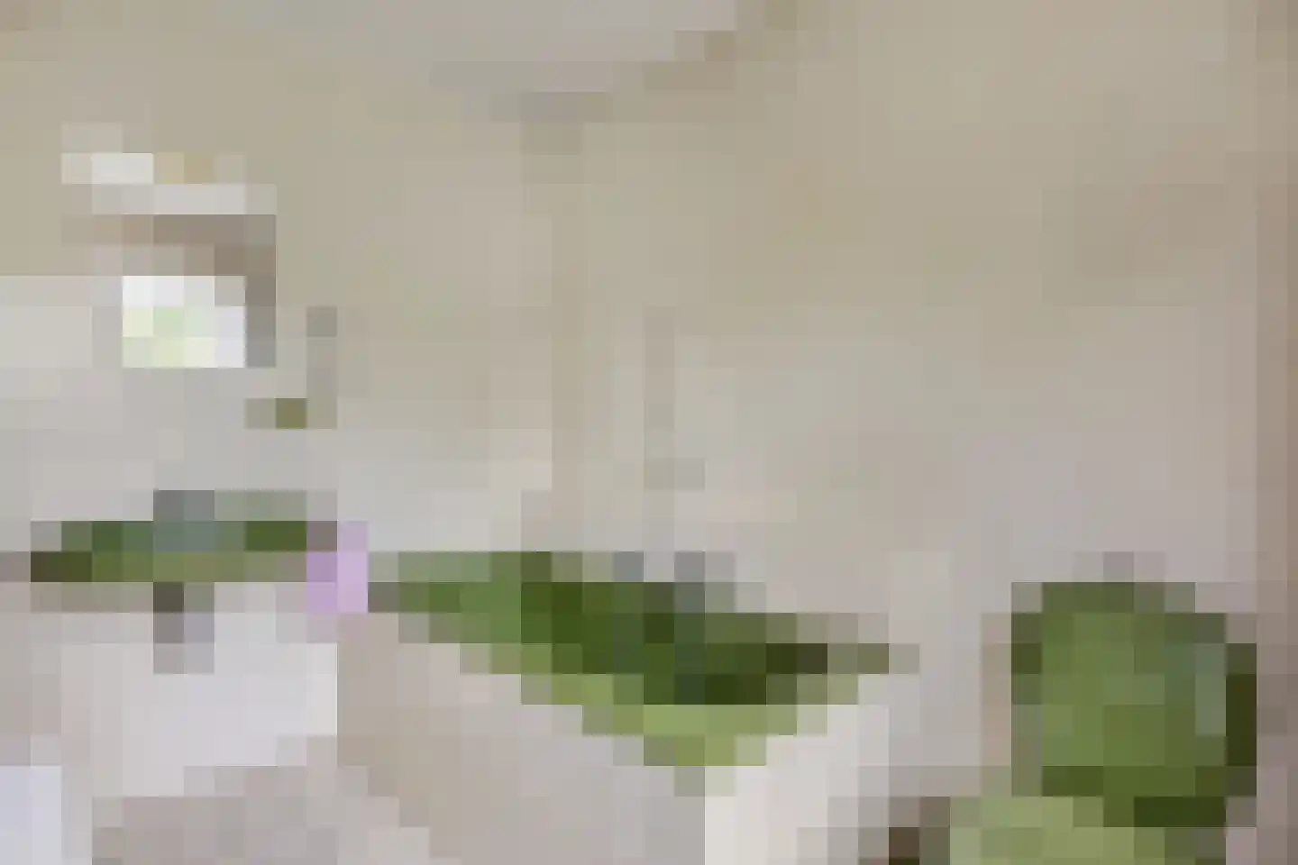 Dennenlaan 22 Harderwijk thumbnail 27