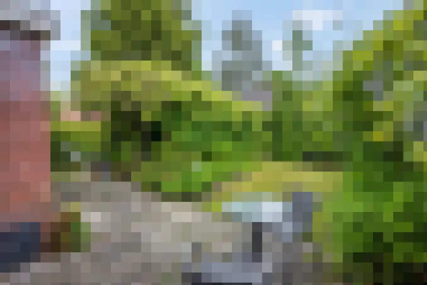 Dennenlaan 22 Harderwijk thumbnail 30