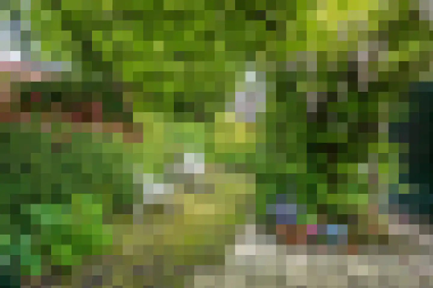 Dennenlaan 22 Harderwijk thumbnail 31