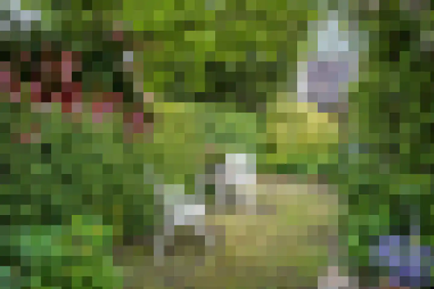 Dennenlaan 22 Harderwijk thumbnail 32