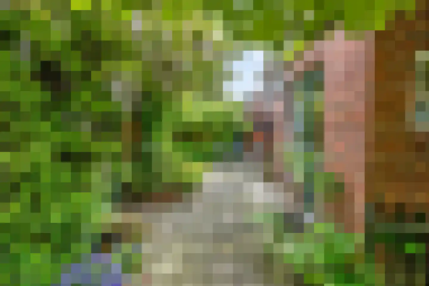 Dennenlaan 22 Harderwijk thumbnail 34