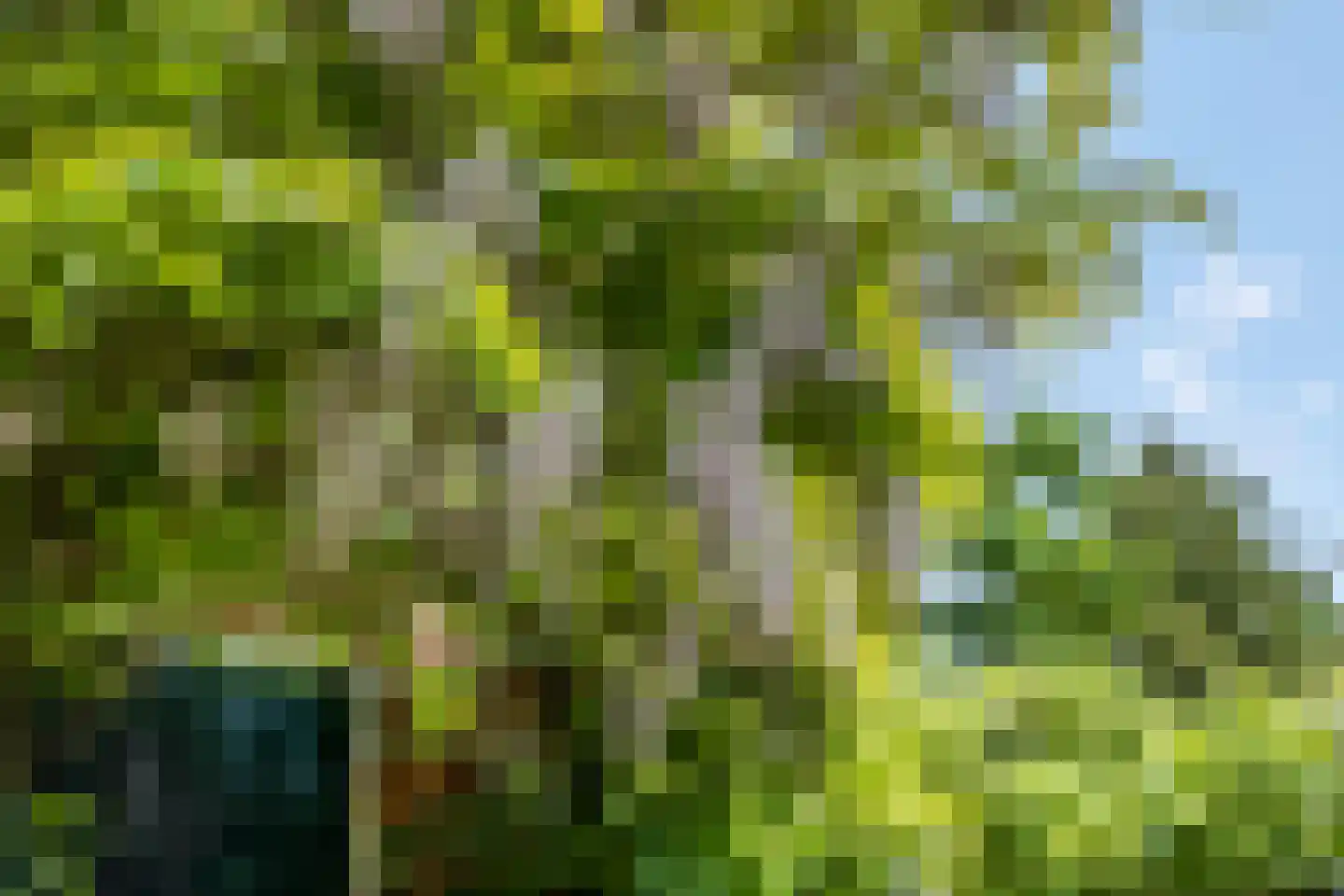Dennenlaan 22 Harderwijk thumbnail 35