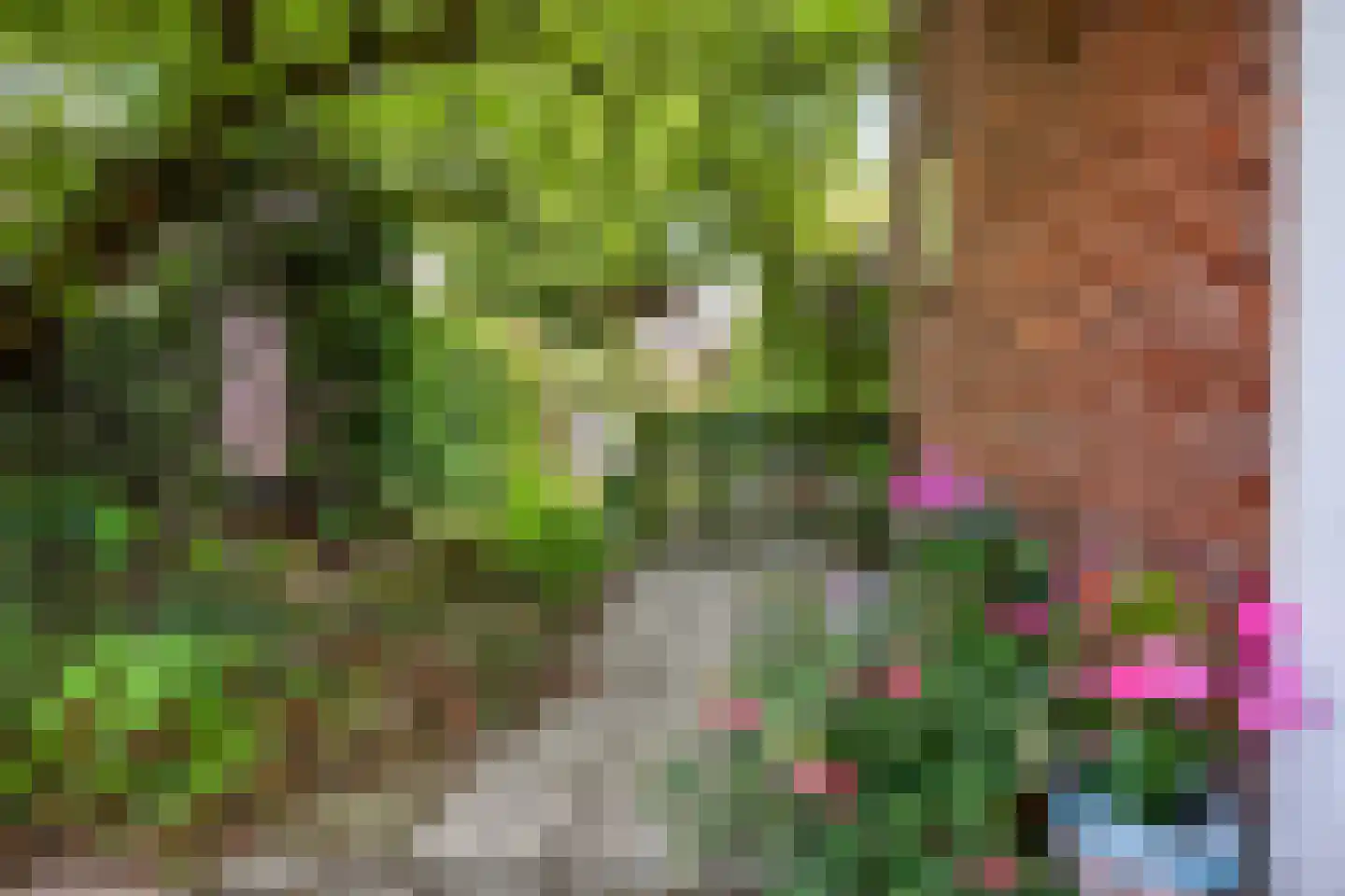 Dennenlaan 22 Harderwijk thumbnail 36