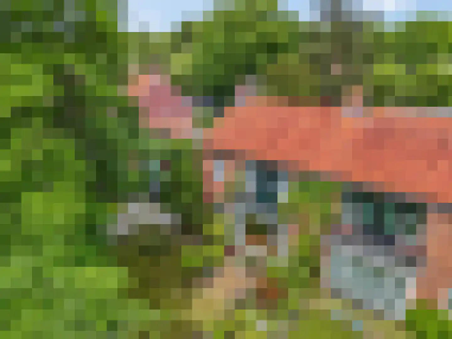 Dennenlaan 22 Harderwijk thumbnail 40