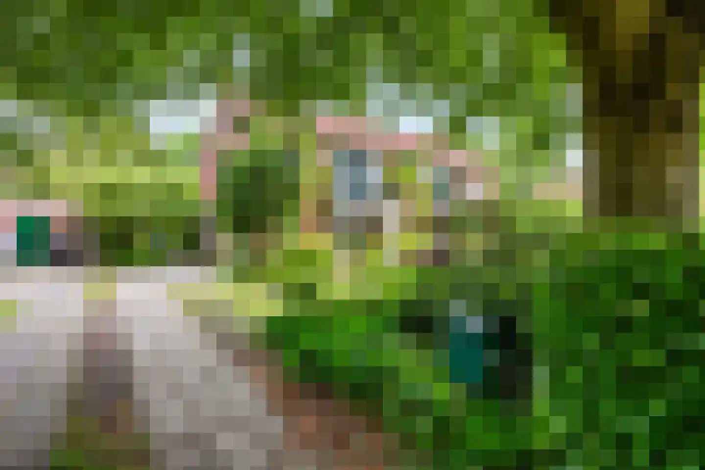 Dennenlaan 22 Harderwijk thumbnail 42