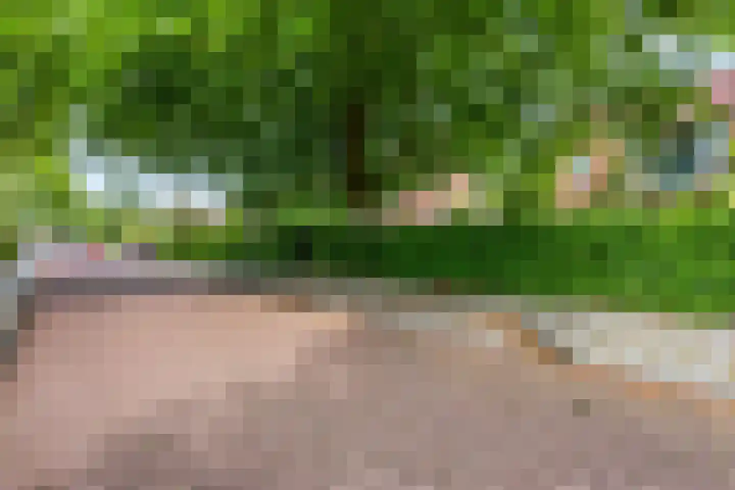 Dennenlaan 22 Harderwijk thumbnail 43