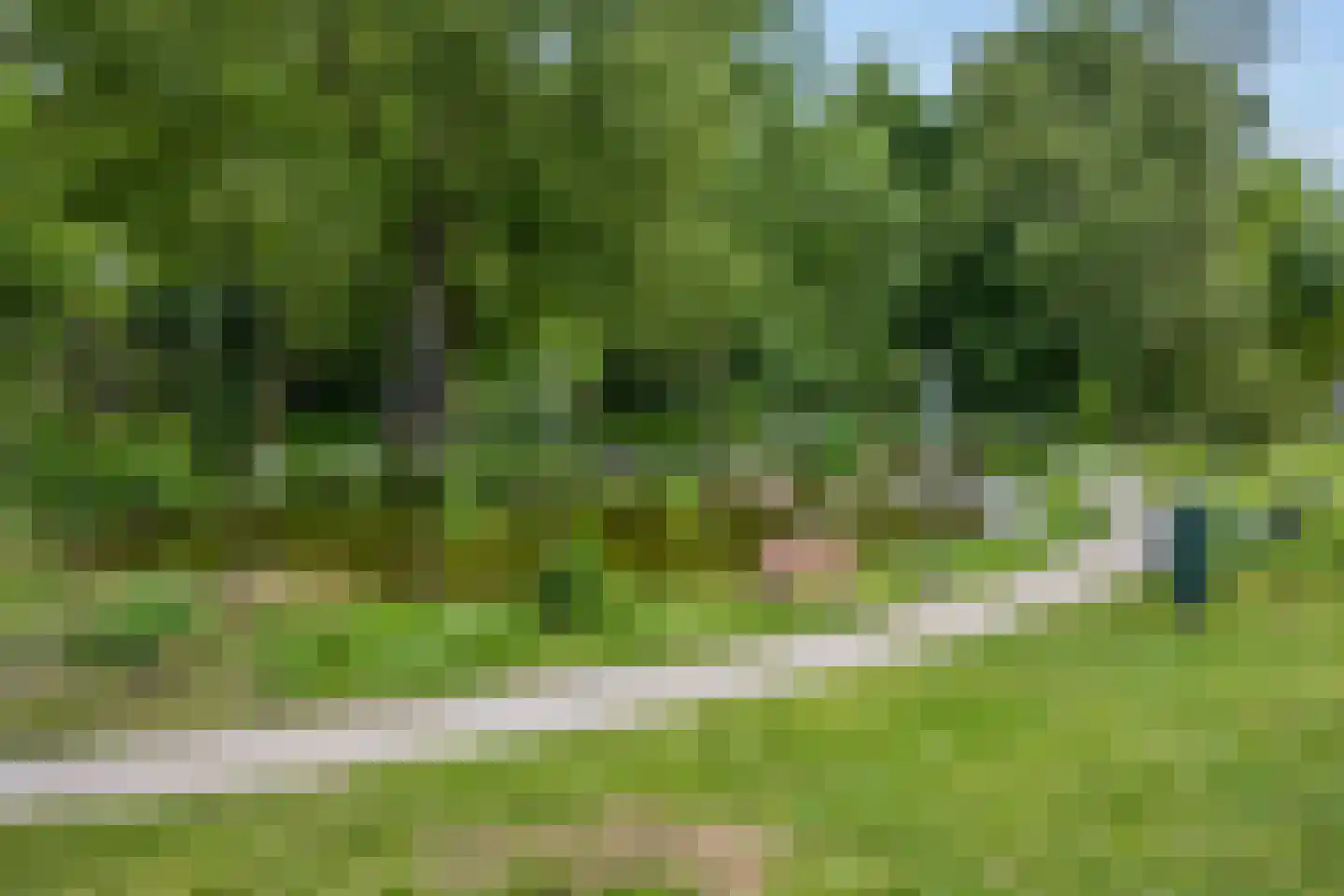 Dennenlaan 22 Harderwijk thumbnail 46