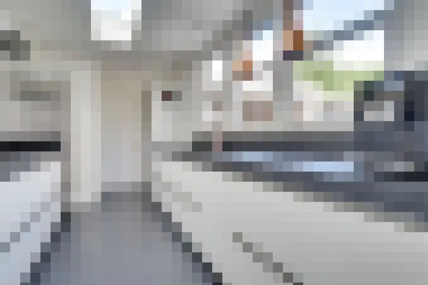 Dennenlaan 22 Veenendaal thumbnail 14