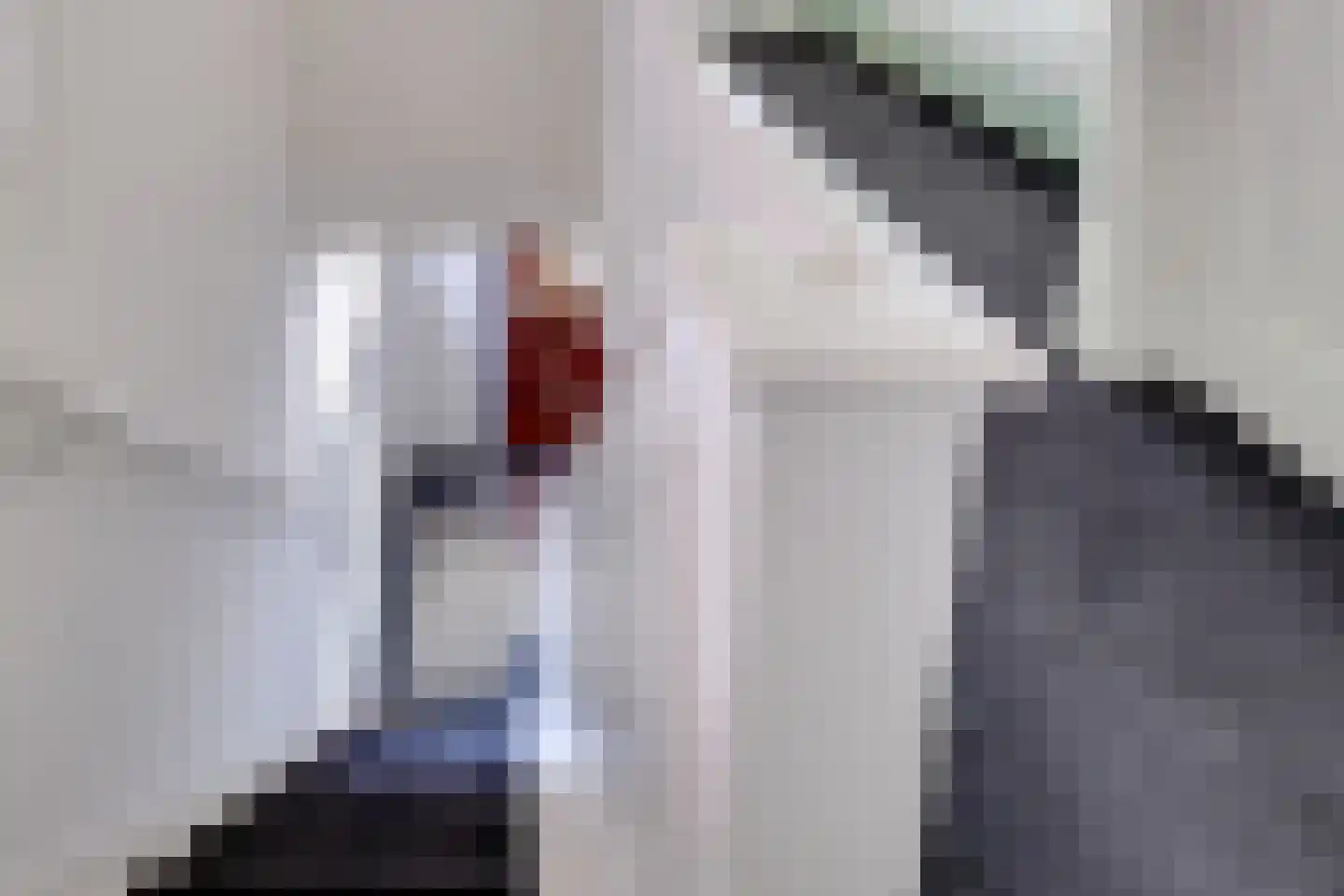 Dennenlaan 22 Veenendaal thumbnail 20