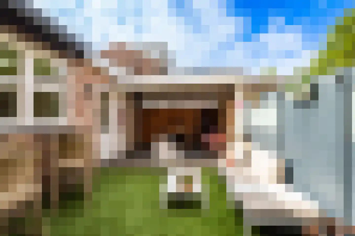 Dennenlaan 22 Veenendaal thumbnail 33