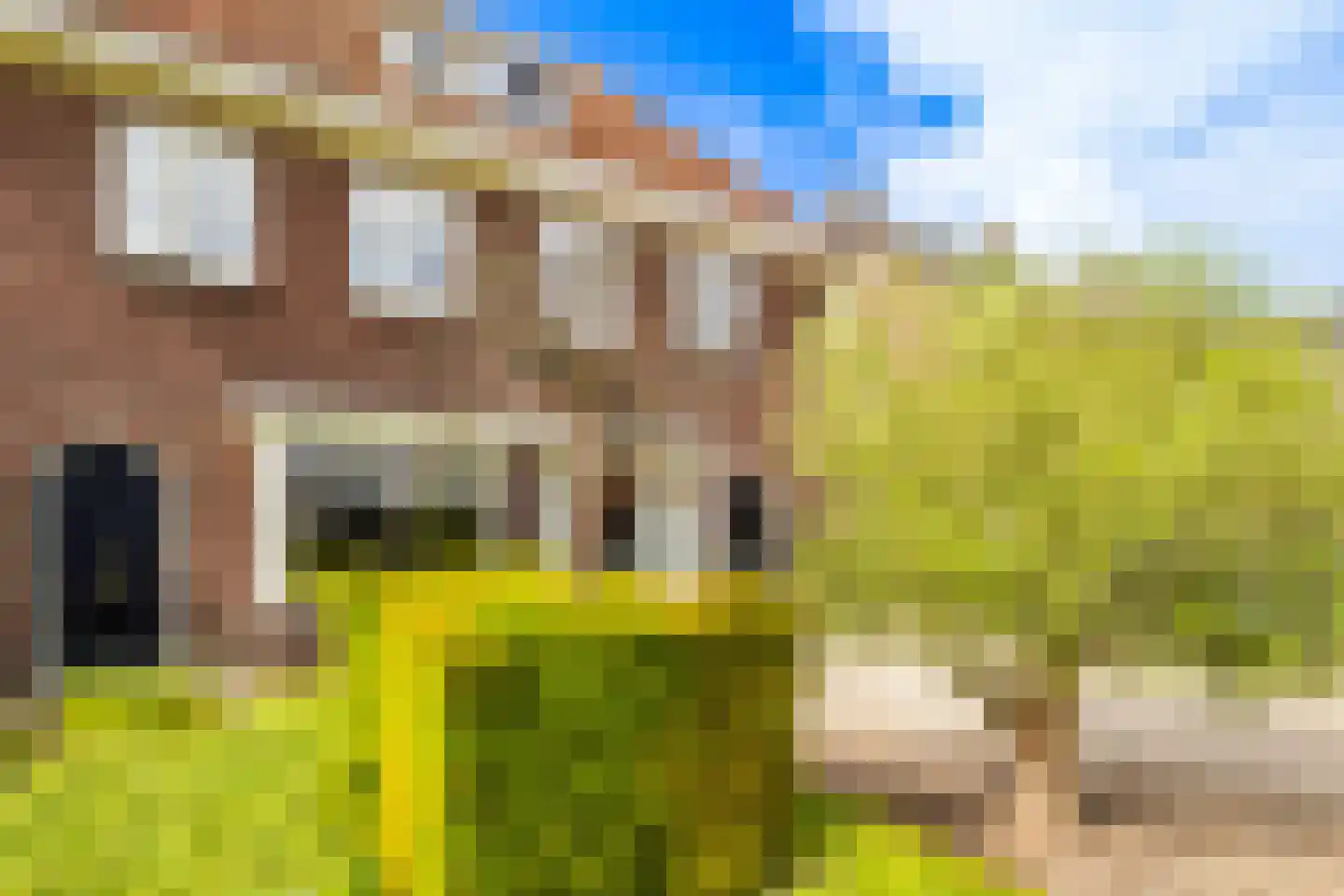 Dennenlaan 22 Veenendaal thumbnail 6