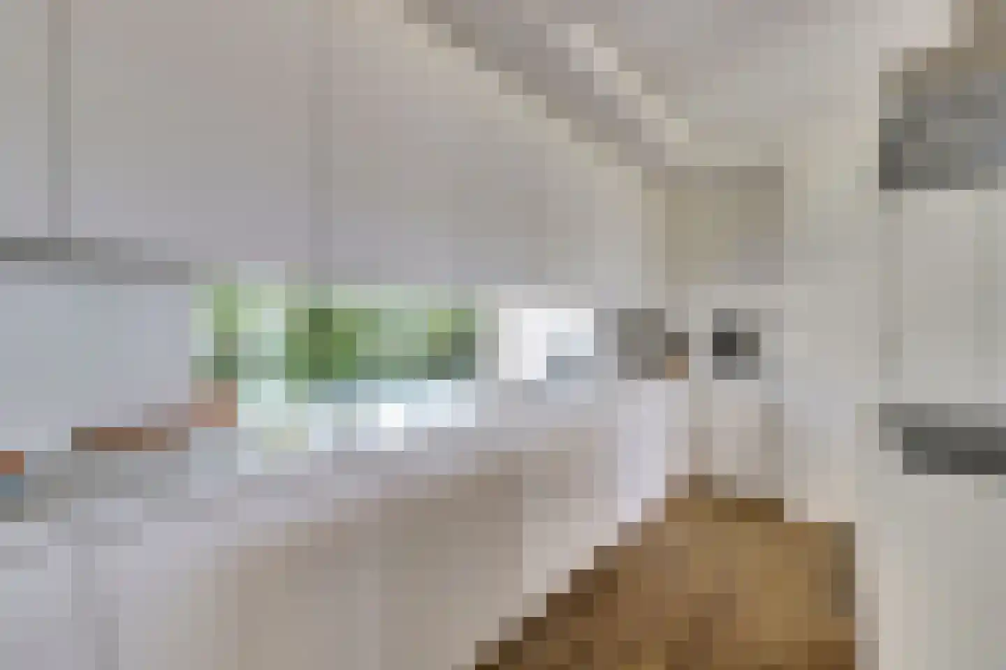 Dennenlaan 24 Kamperland thumbnail 13