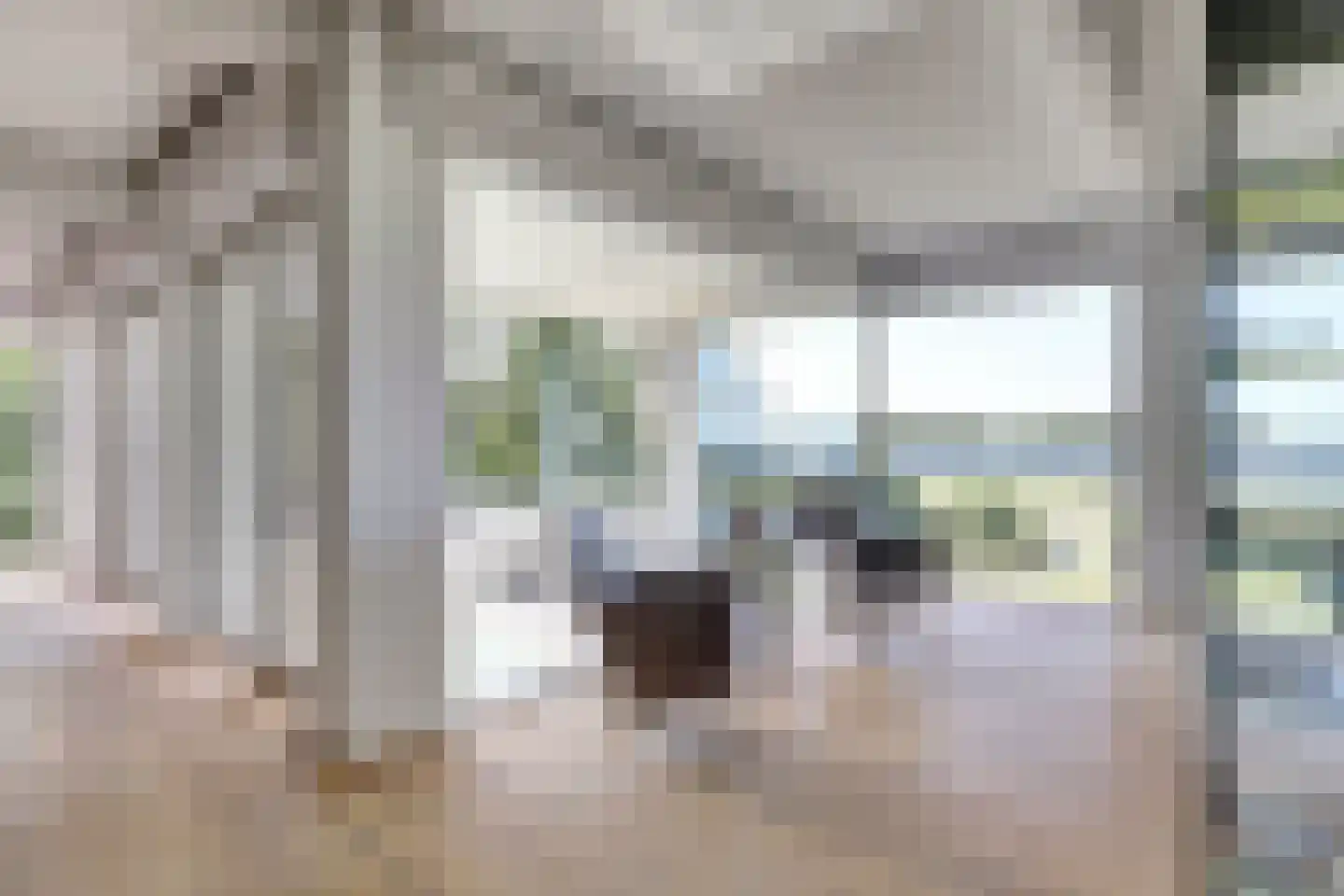 Dennenlaan 24 Kamperland thumbnail 21