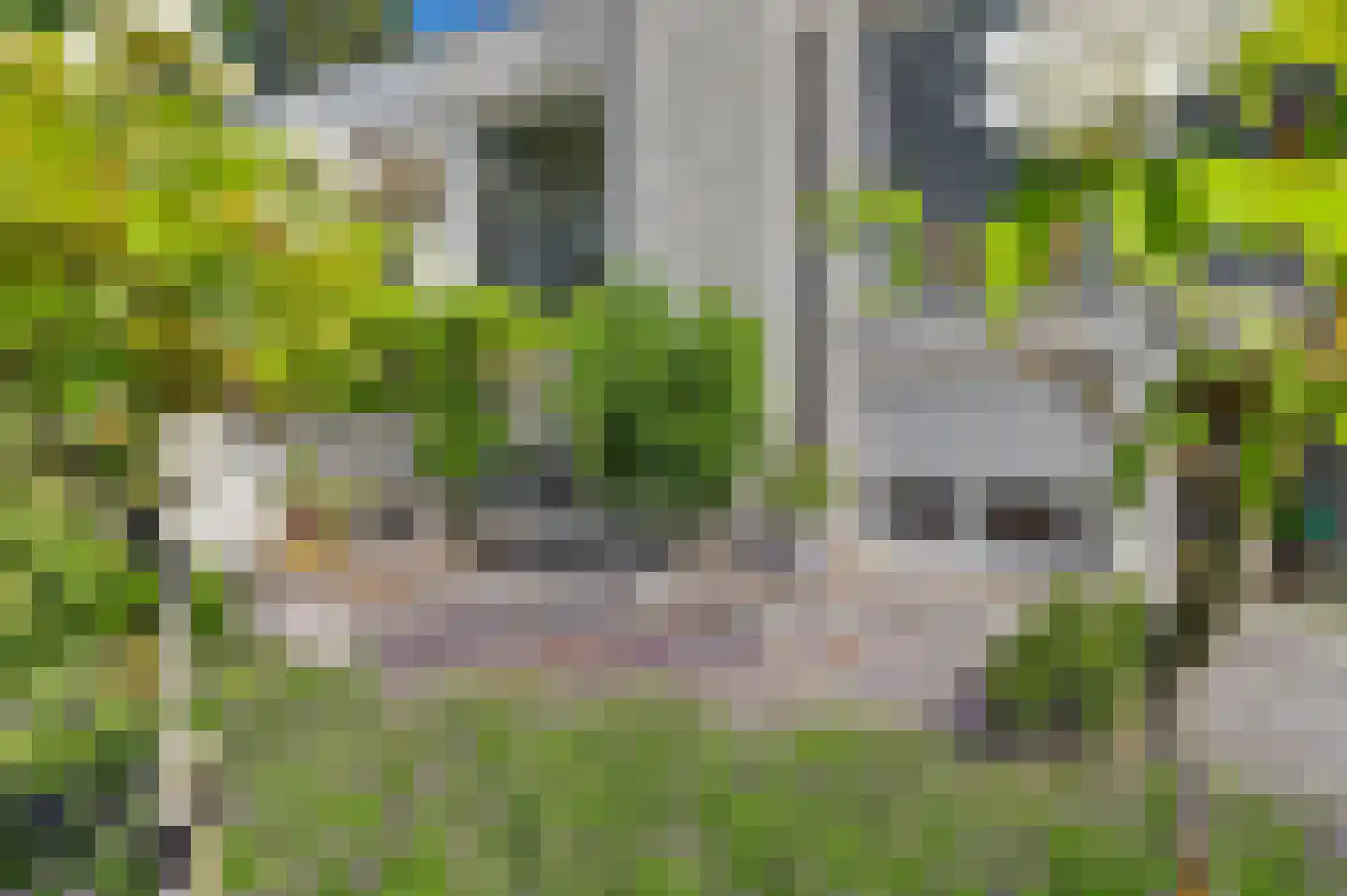 Dennenlaan 24 Kamperland thumbnail 35