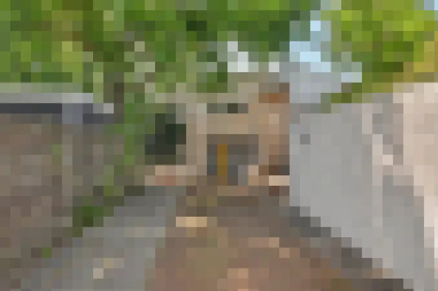Dennenlaan 24 Kamperland thumbnail 4