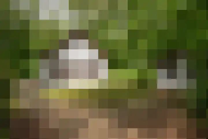 Dennenlaan 25 a 20 Zuidlaren thumbnail 44