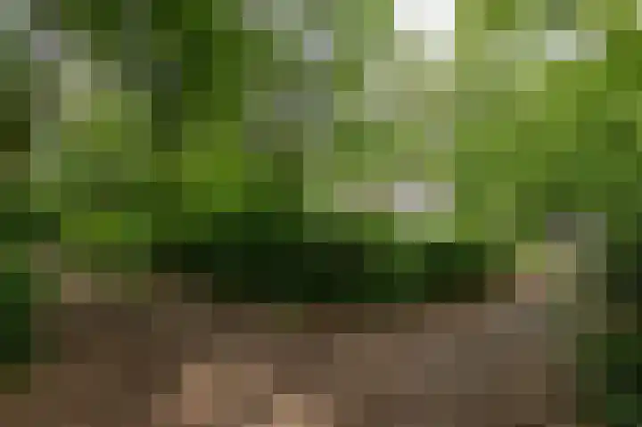 Dennenlaan 25 a 20 Zuidlaren thumbnail 5