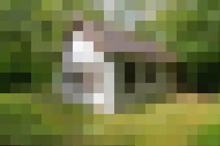 Dennenlaan 25 a 20 Zuidlaren thumbnail 7