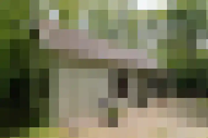 Dennenlaan 25 a 20 Zuidlaren thumbnail 8
