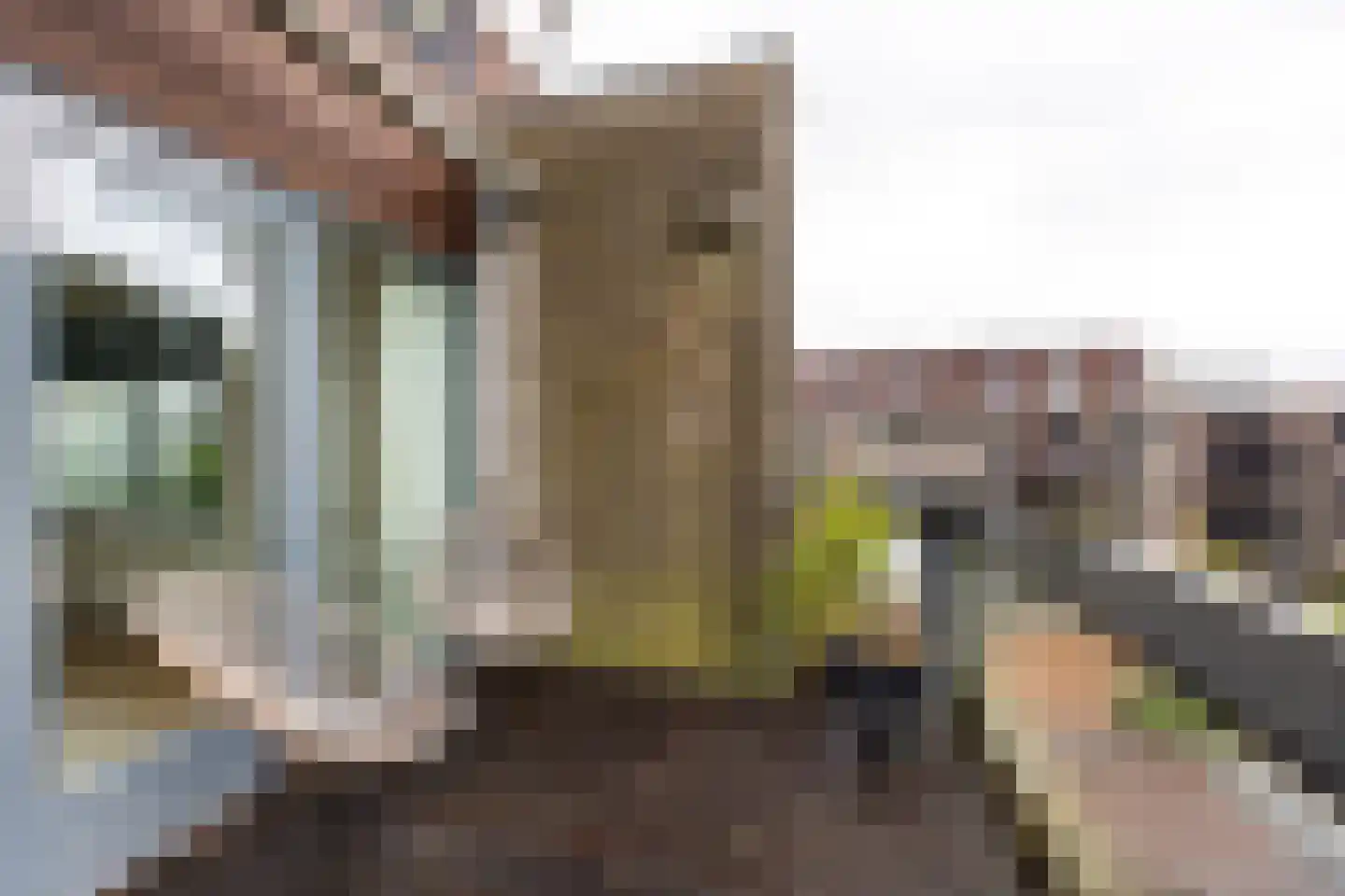 Dennenlaan 25 F Zwanenburg thumbnail 18