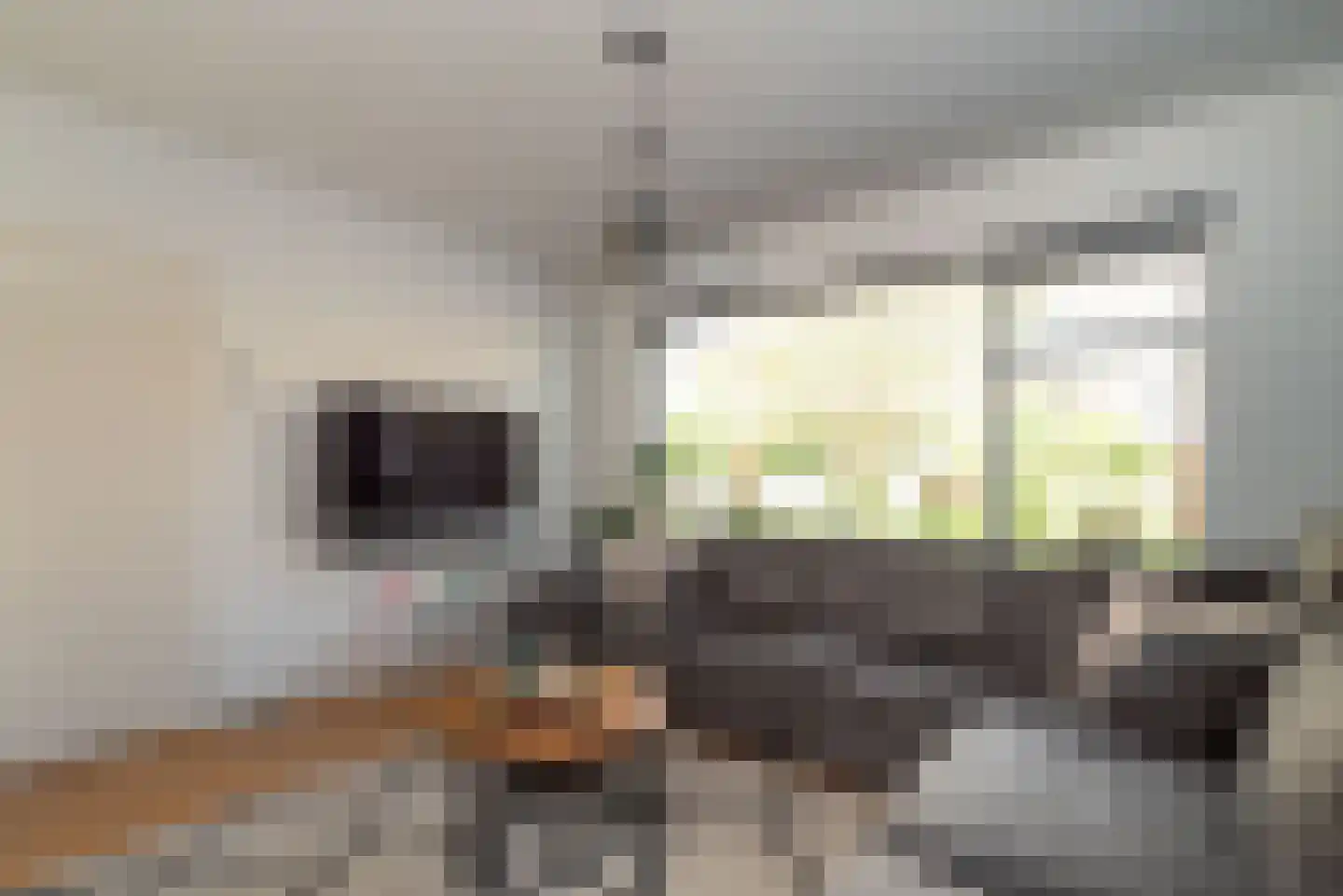 Dennenlaan 25 Rijssen thumbnail 15
