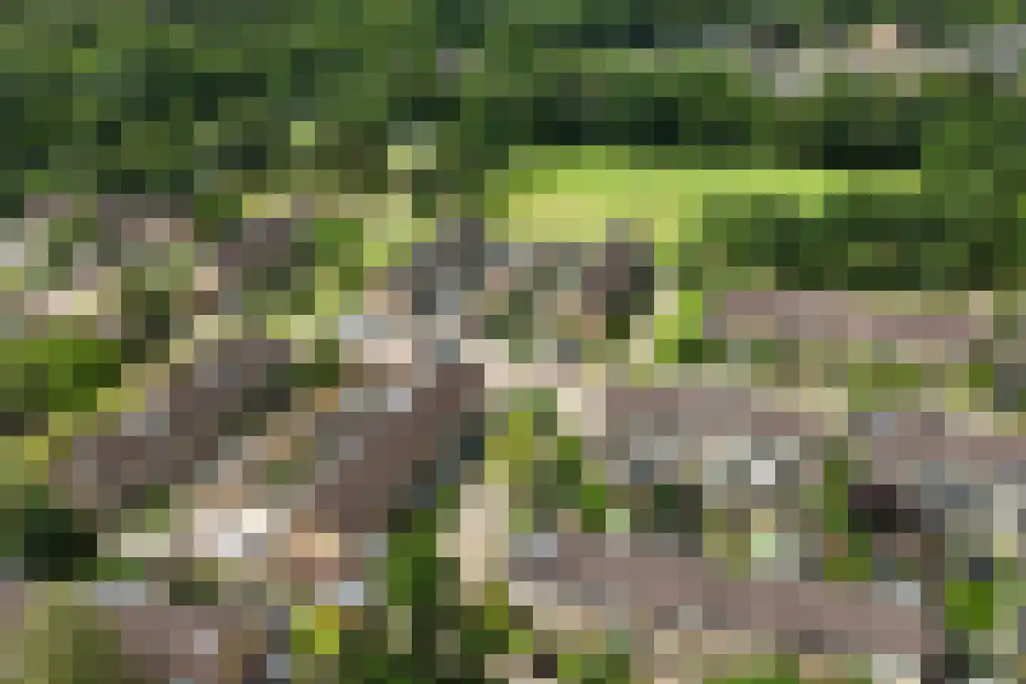 Dennenlaan 25 Rijssen thumbnail 7