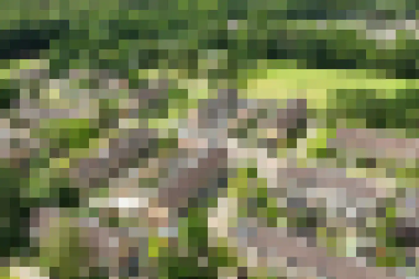 Dennenlaan 25 Rijssen thumbnail 8