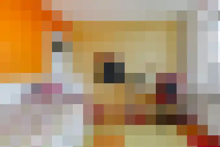 Dennenlaan 26 Havelte thumbnail 15
