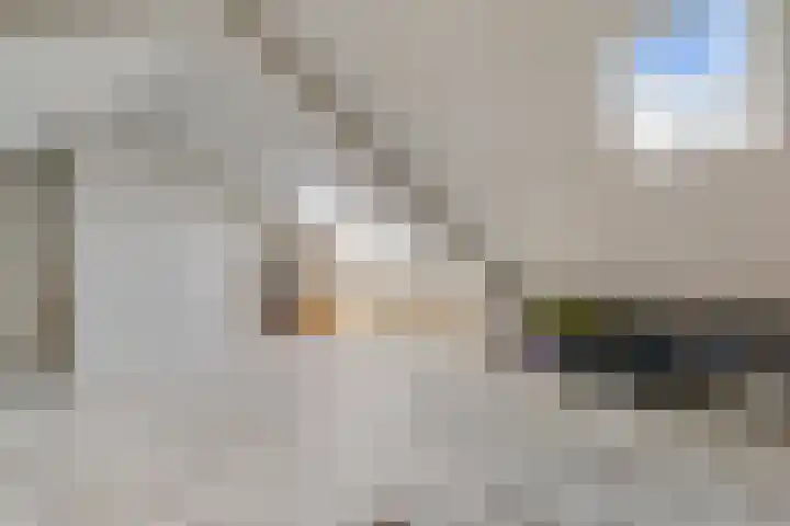 Dennenlaan 26 Havelte thumbnail 21
