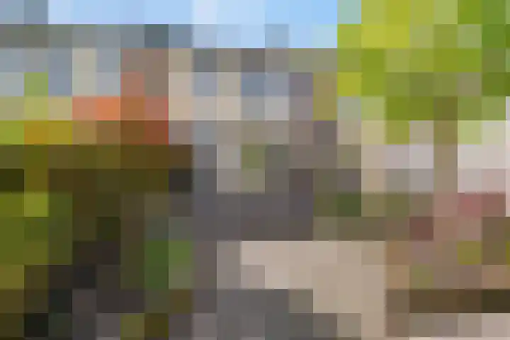 Dennenlaan 26 Havelte thumbnail 23