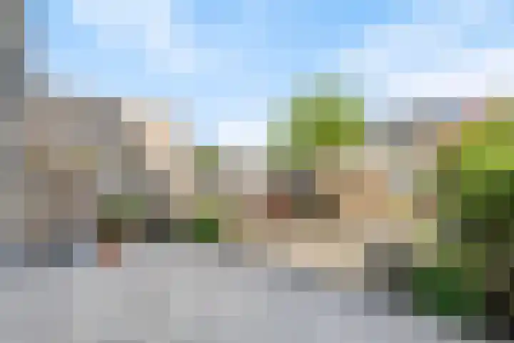 Dennenlaan 26 Havelte thumbnail 24