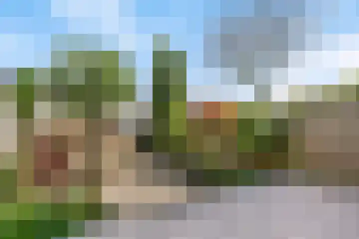 Dennenlaan 26 Havelte thumbnail 25