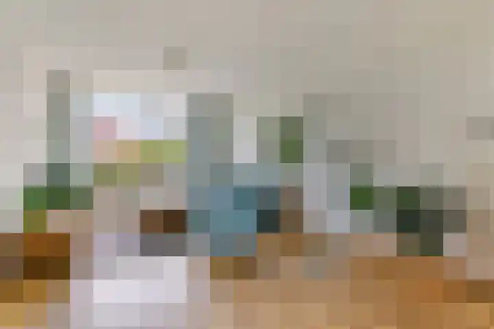 Dennenlaan 26 Havelte thumbnail 4