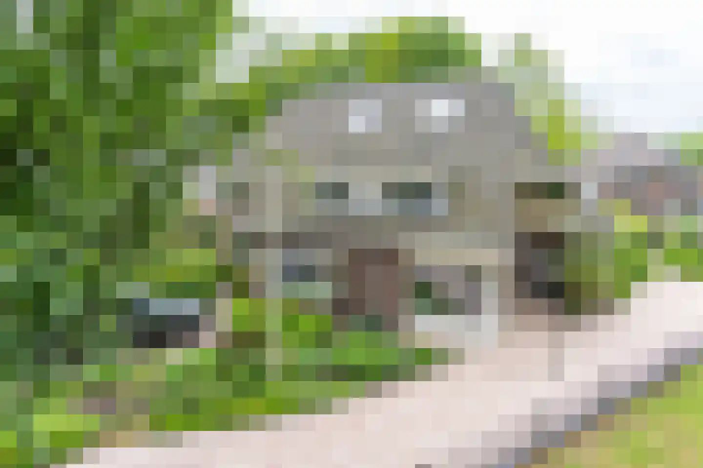 Dennenlaan 27 in Ermelo