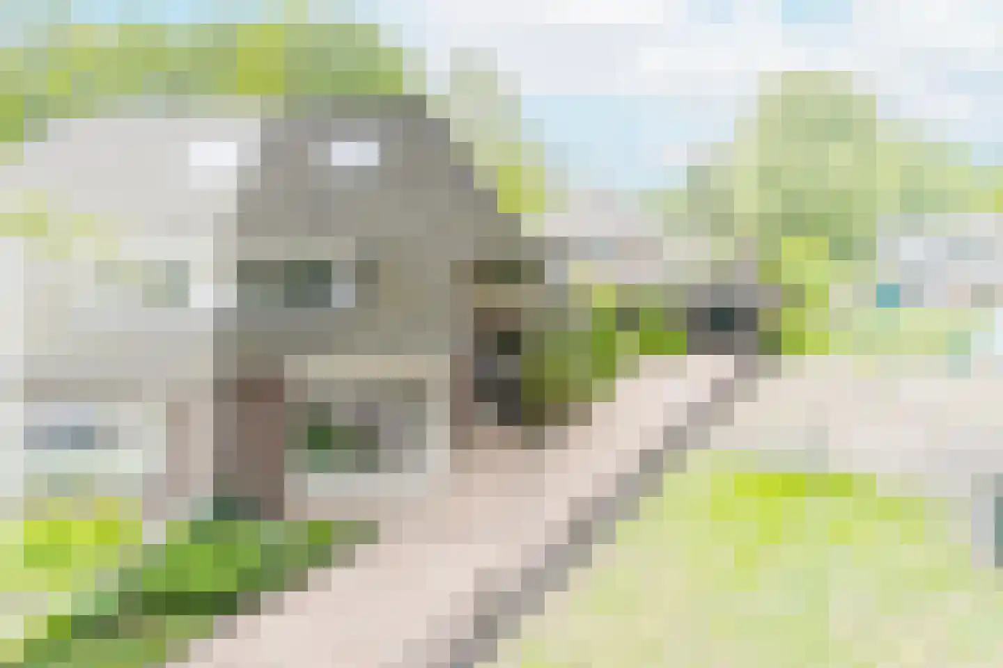 Dennenlaan 27 Ermelo foto 3