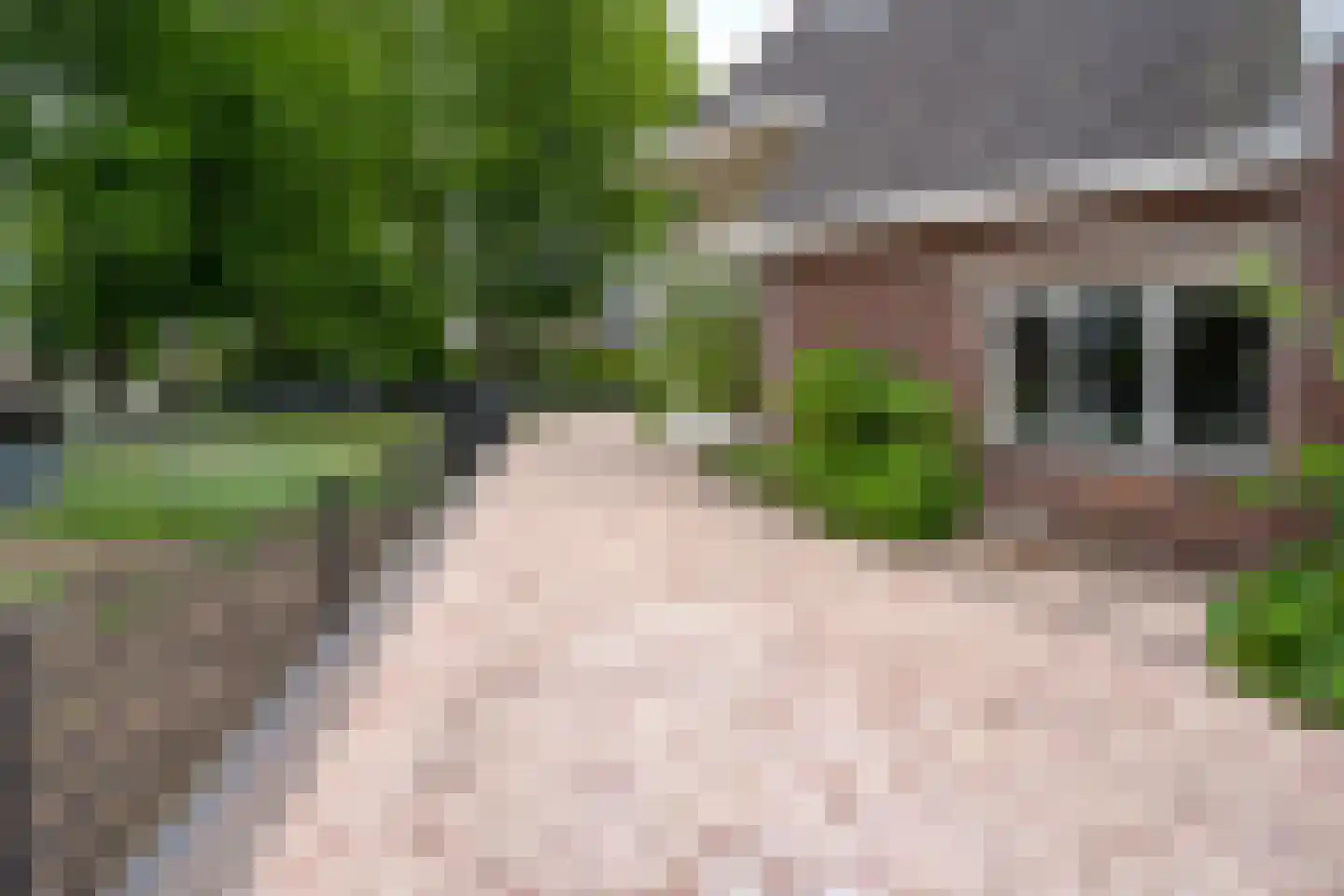 Dennenlaan 27 Ermelo thumbnail 35