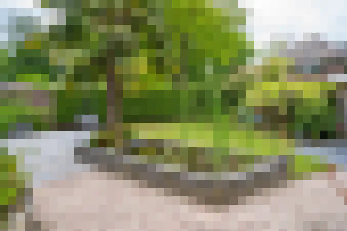 Dennenlaan 27 Ermelo thumbnail 38