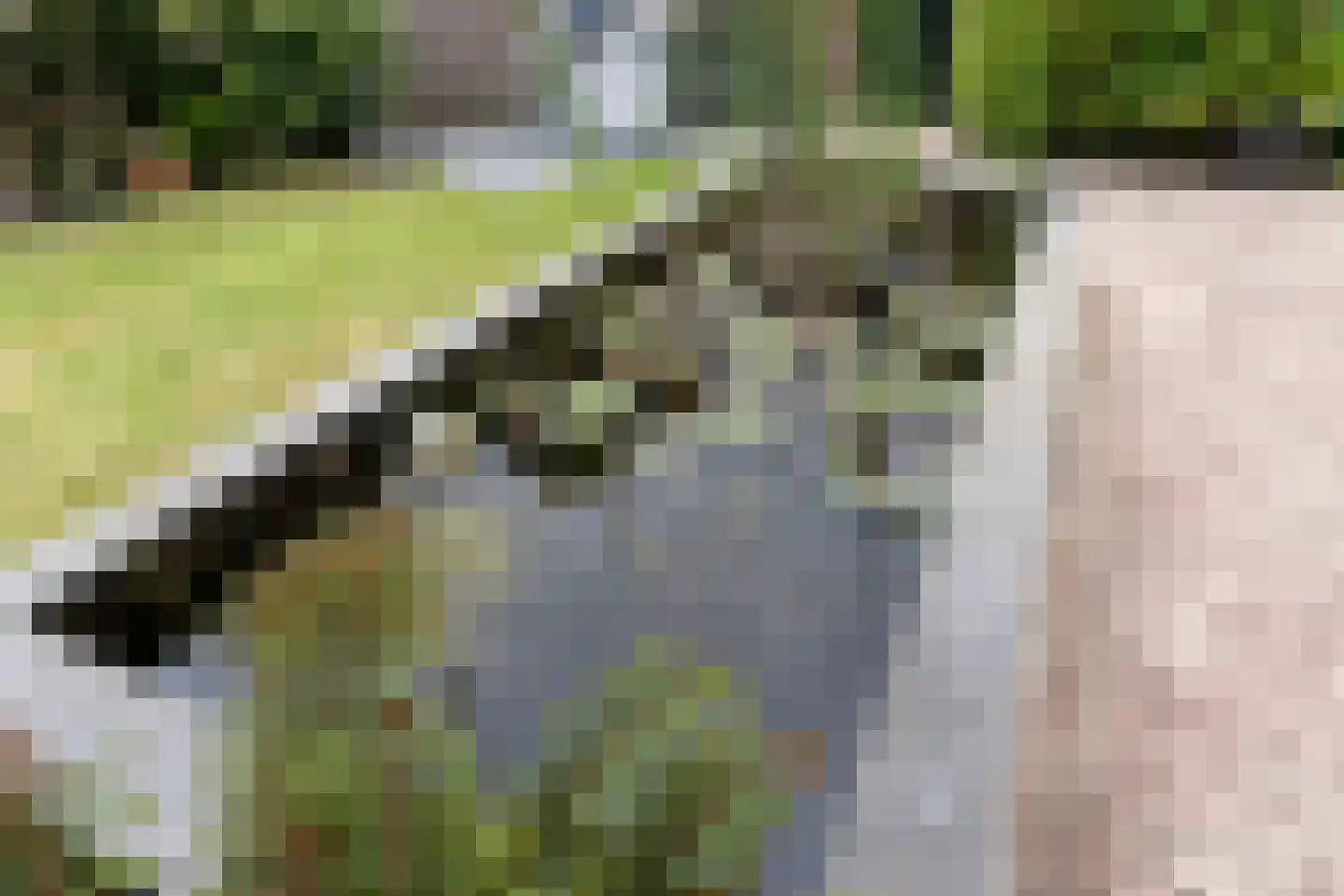 Dennenlaan 27 Ermelo thumbnail 42