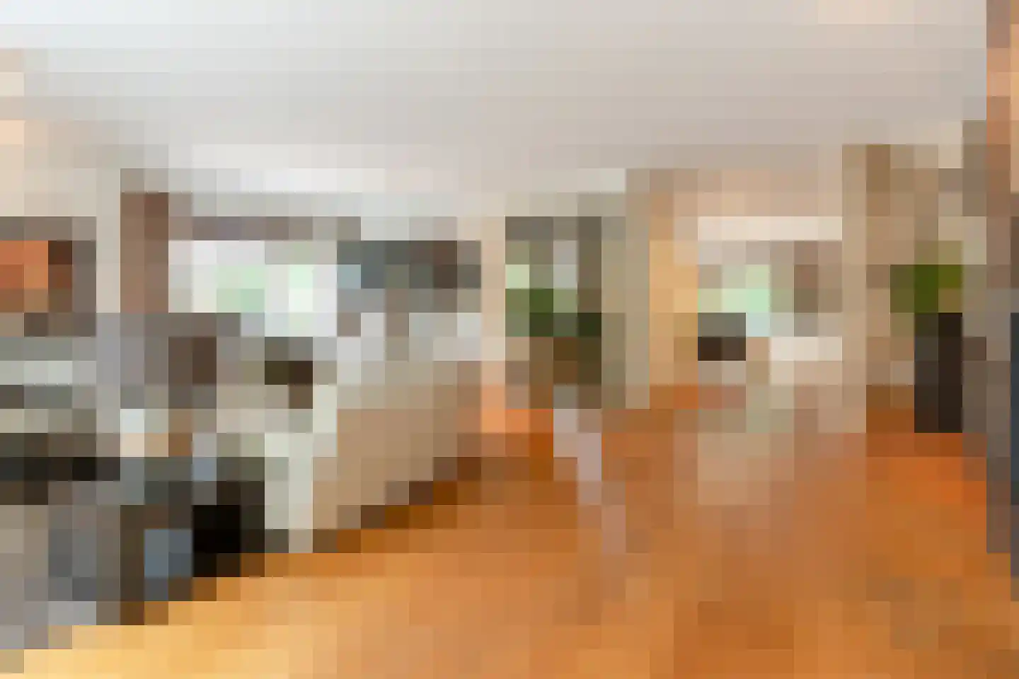 Dennenlaan 27 Ermelo thumbnail 8